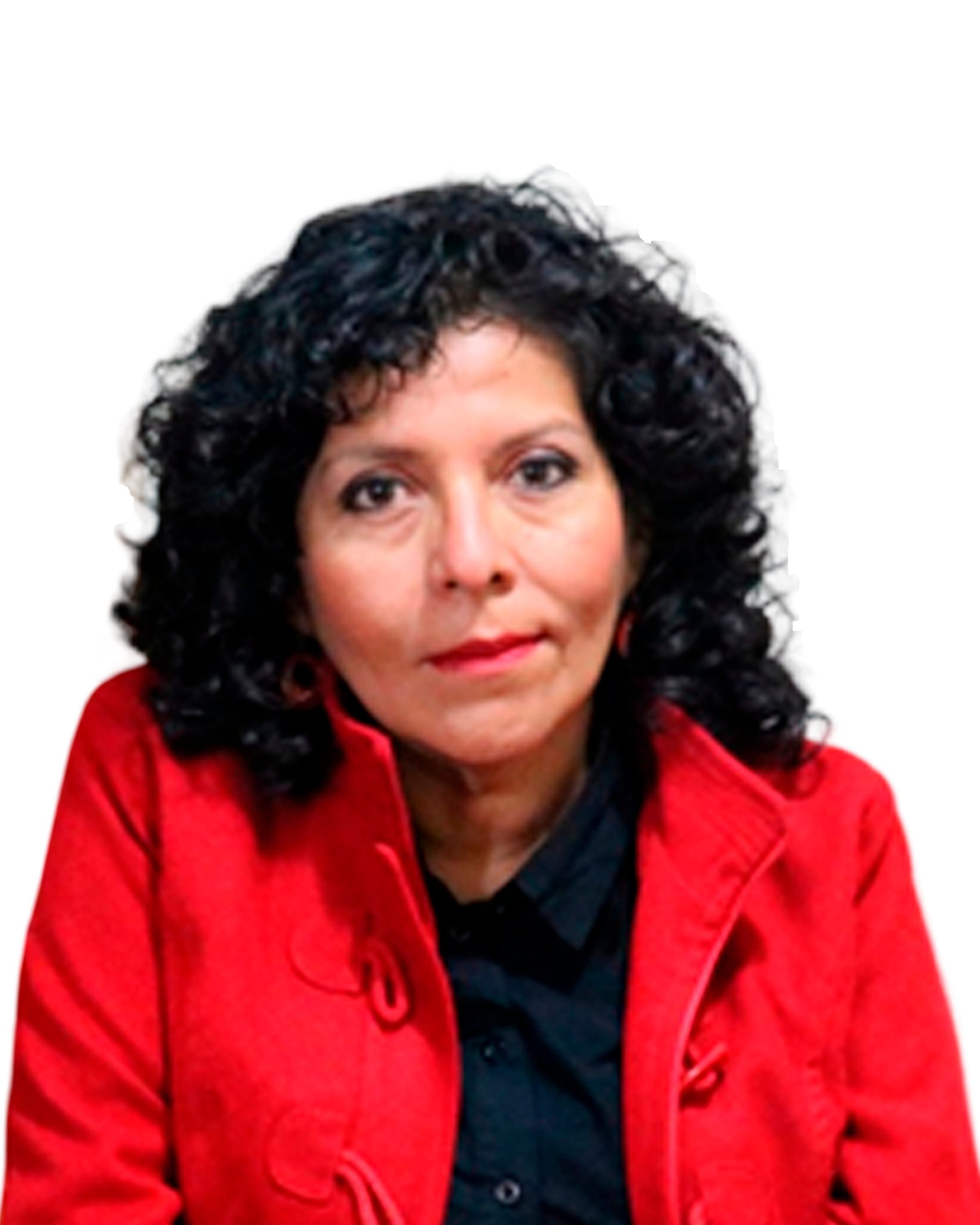 Guissela Joanne Gonzales Fernández